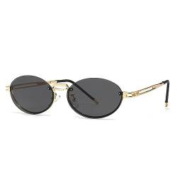 CABTRA Kleine Sonnenbrille Mit Rundem Rahmen Für Herren Und Damen Outdoor-Sport-Reit-Sonnenbrillen von CABTRA