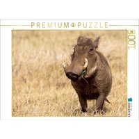 CALVENDO Puzzle CALVENDO Puzzle Warzenschwein, Ngorongoro Conservation Area, Tansania 1000 Teile Lege-Größe 64 x 48 cm Foto-Puzzle Bild von krueger photography, 1000 Puzzleteile von CALVENDO