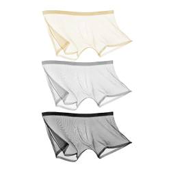 CEAeis Ice Silk Sexy Mesh Volltransparente Boxershorts, atmungsaktive, durchsichtige, Hohle Slips für Männer (3pcs-C,L) von CEAeis