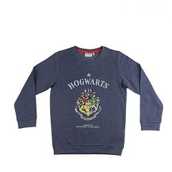 CERDÁ LIFE'S LITTLE MOMENTS Jungen Winter Sweatshirt Harry Potter Kinder Pullover ohne Kapuze-Offizielle Warner Bros Lizenz, Violett (Cranberry), 10 Jahre von CERDÁ LIFE'S LITTLE MOMENTS
