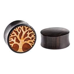 Plug Holz Jackfrucht Sonoholz ocker dunkel braun Baum des Lebens Gravur Piercing Lobe | Flesh Tunnel Earplug Herren Damen unisex Ohrring | Expander Dehner Ohr Schmuck double flared Plugs 14 mm von CHICNET