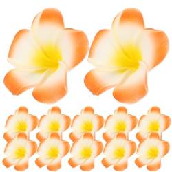 12 Stk Frangipani Haars Pange Blumenmädchen Haarspange Hawaii-plumeria-haarspangen Hawaiianischer Floraler Haarschmuck Pool-haarspangen Blase Eva Fräulein Entenschnabel von CIMAXIC