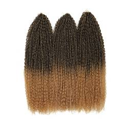 CLKE Passion Twist Hair 71,1 cm Afro Kinky Curly Synthetic Brazilian Braiding Hair Deep Wave Twist Crochet Hair Long Curl Extensions for Black Women-T27 von CLKE