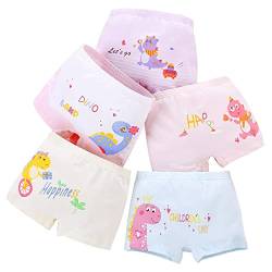 CM-Kid Baby Mädchen, Slip, mutandine, biancheria intima Unterwäsche-Set für Babys und Kleinkinder, dinosauro, 5-6 anni von CM-Kid