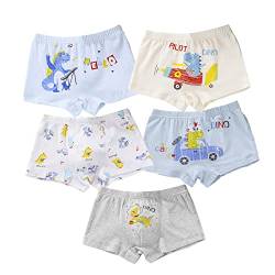 CM-Kid Babys Mutande, Set Intimo, Boxer per Ragazzi Boxershorts, Dinosauro blu, 8-9 anni von CM-Kid