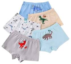 CM-Kid Babys Mutande, Set Intimo, Boxer per Ragazzi Boxershorts, H, 6-7 Jahre von CM-Kid