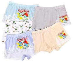 CM-Kid Babys Mutande, Set Intimo, Boxer per Ragazzi Boxershorts, N, 3-4 Jahre von CM-Kid