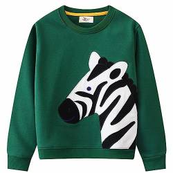 CM-Kid Pullover Jungen Sweatshirts Kinder Langarm Shirts Winter Warm Baumwolle 6 7 Jahre Zebra Grün Gr.122 von CM-Kid
