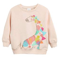 CM-Kid Pullover Mädchen Langarm Shirt Kinder Sweatshirt Baumwolle Frühling Herbst Winter Warm 1 2 Jahre Giraffe Rosa Gr.92 von CM-Kid