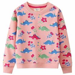 CM-Kid Pullover Mädchen Sweatshirts Kinder Langarm Shirts Warm Baumwolle 6 7 Jahre Rosa Dinosaurier Gr.122 von CM-Kid