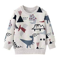 CM-Kid Sweatshirt Jungen Langarm Baumwolle Kinder Pullover Frühling Herbst Winter Bunt Dino Hellgrau 4 5 Jahre 110 von CM-Kid