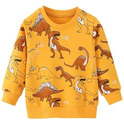 CM-Kid Sweatshirt Jungen Langarm Shirt Baumwolle Kinder Pullover Frühling Herbst Winter Warm Dinosaurier Gelb 4 5 Jahre Gr.110 von CM-Kid