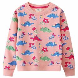 CM-Kid Sweatshirt Mädchen Langarm Shirt Kinder Pullover Baumwolle Warm 5 6 Jahre Rosa Dinosaurier Gr.116 von CM-Kid