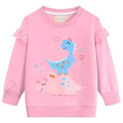 CM-Kid Sweatshirts Baby Mädchen Langarmshirt Kinder Pullover Baumwolle Warm 1 2 Jahre Dinosaurier Rosa Gr.92 von CM-Kid