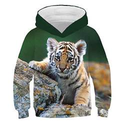 COAOBO Kinder Hoodie 3D Druck，3D Tiger Kinder Hoodie Jungen Mädchen Dünne Sweatshirt Hut Tiger Print Teenager Jungen Mädchen Hoodie Pullover-140Cm von COAOBO