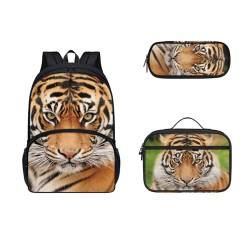 COEQINE Tier-Rucksack und Lunchbox-Set für Jungen und Kleinkinder, 3–6 Jahre, Büchertasche, Lunchbox, Grundschulrucksack mit Federmäppchen, tiger von COEQINE
