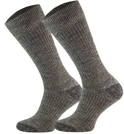 Fachmann Wandersocken COMODO STAN ALPAKAWOLLE. Warme Socken für Winterausflüge, extreme Bedingungen. (stan_39_PP) von COMODO TECHNICAL SOCKS