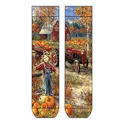 COOL7 Pumpkin Damensocken bedruckt 100% Biobaumwolle 39/42-35/38 Printsocken Socks bunte Damensocken Einheitsgöße Lustige Socken für Damen… von COOL7