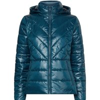 Calvin Klein Curve Steppjacke INCLUSIVE RECYCLED PADDED JACKET mit Calvin Klein Logo-Print von Calvin Klein Curve