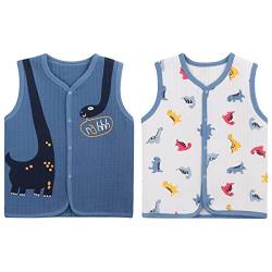 2 Stück Set Kleinkind Kinder Jungen Baumwoll Westen mit Druckknopf Gesteppte verdickte ärmellose Jacke Kinderweste für Frühling Herbst weich und warm Blau mit Dinosaurier Muster Herstellergr. 100 von Camilife