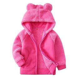 Camilife Kleinkind Kinder Jungen Mädchen Verdickte Polar Fleece Jacke mit Kapuze Reißverschluss Fleecejacke Bärchen Kapuzenjacke Kinderjacke - Rosa Herstellergr. 100 von Camilife