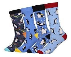 Cansok Herren Neuheit Pinguin Socken anziehen Mannschafts Waden Socken Packung mit 4 von Cansok