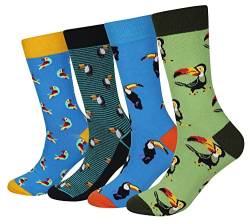 Cansok Herren Neuheit Tukan Vogel Tier Socken anziehen Mannschafts Waden Socken Packung mit 4 von Cansok