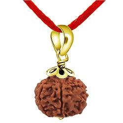 CaratYogi echte 5 Mukhi Five Face Rudraksha Nepali Perlen Anhänger gelb vergoldet Shiv Rudraksha Astrologie Meditation Medaillon von CaratYogi