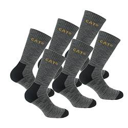 Caterpillar Boot Socks 6 Paar Stretch-Baumwollsocken, verstärkte Zehen und Fersen, geeignet für Stiefel (Anthrazit, 39-42) von Caterpillar