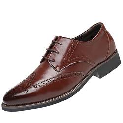 Celucke Herren Business-Schuhe Budapester, Lederschuhe Schnürschuhe Anzugschuhe aus edlem Leder von Celucke