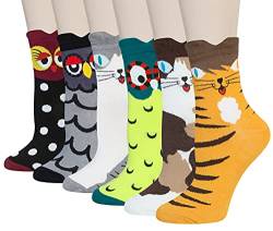 Chalier Cozy 6 Paar niedliche Damen-Tierbaumwollsocken, Hunde und Katzen in lebendigen Farben,Geschenk für Frauen, Einheitsgröße(Türkis) von Chalier Cozy