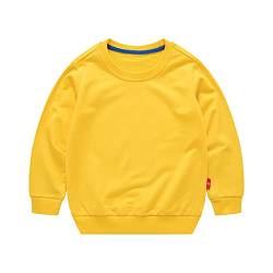 Cicilin Unisex Kinder Pullover für Jungen Mädchen Baumwolle Sweatshirt Kinder Langarm Causal T Shirts Pullover Herbst Winter Alter 1-7 Jahre, gelb, 110 cm von Cicilin