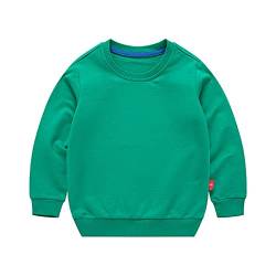 Cicilin Unisex Kinder Pullover für Jungen Mädchen Baumwolle Sweatshirt Kinder Langarm Causal T Shirts Pullover Herbst Winter Alter 1-7 Jahre, grün, 110 cm von Cicilin