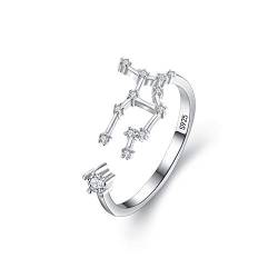 Clearine Damen Ring 925 Sterling Silber CZ Horoskop Tierkreis 12 Konstellation Astrologie Verstellbar Statement Geburtstagsgeschenk von Clearine