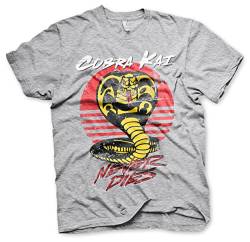 Cobra Kai Offizielles Lizenzprodukt Never Dies Herren T-Shirt (Heather Grau), Large von Cobra Kai