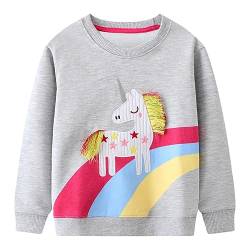 Codkkre Sweatshirt Mädchen Pullover für Kinder Süß Cartoon Sweater Mädchen Langarmshirts aus Baumwolle Alter 2-7 Jahre, 104, Stil 1 von Codkkre