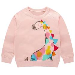 Codkkre Sweatshirt Mädchen Pullover für Kinder Süß Cartoon Sweater Mädchen Langarmshirts aus Baumwolle Alter 2-7 Jahre, 104, Stil 6 von Codkkre