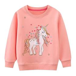 Codkkre Sweatshirt Mädchen Pullover für Kinder Süß Cartoon Sweater Mädchen Langarmshirts aus Baumwolle Alter 2-7 Jahre, 110, Stil 3 von Codkkre