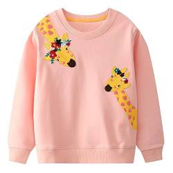 Codkkre Sweatshirt Mädchen Pullover für Kinder Süß Cartoon Sweater Mädchen Langarmshirts aus Baumwolle Alter 2-7 Jahre, 116, Stil 4 von Codkkre