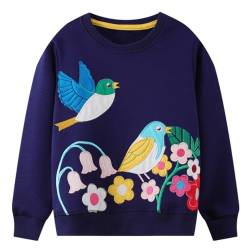 Codkkre Sweatshirt Mädchen Pullover für Kinder Süß Cartoon Sweater Mädchen Langarmshirts aus Baumwolle Alter 2-7 Jahre, 116, Stil 9 von Codkkre