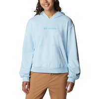 COLUMBIA Columbia Logo III French Terry Hoodie von Columbia