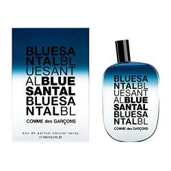 Comme des Garcons Blue Santal unisex, Eau de Parfum, Vaporisateur / Spray 100 ml, 1er Pack (1 x 100 ml) von Comme des Garcons