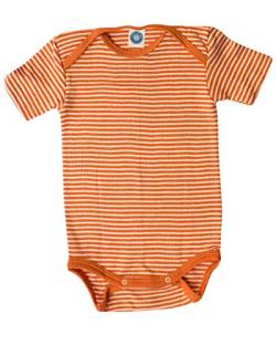 Cosilana, Baby Body Kurzarm, 70% Wolle, 30% Seide (Orange/Natur, 50-56) von Cosilana