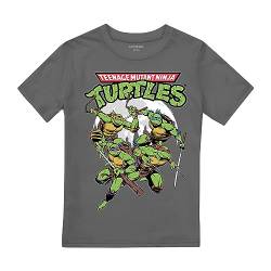 Cotton Soul TMNT Ninja Turtles Midnight Group Boys T Shirt, Charcoal, 10-12 Years von Cotton Soul