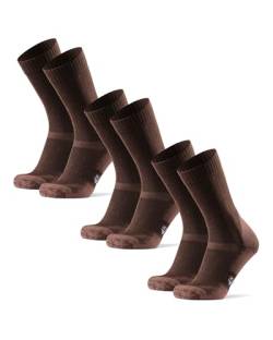 DANISH ENDURANCE Merinowolle Wandersocken für Herren, Damen & Kinder, 3 Paare, Trekkingsocken, Atmungsaktiv, Gepolstert, Antiblasen Polsterung, Merino Funktionssocken (Braun, EU 43-47) von DANISH ENDURANCE