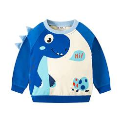 DAWILS Jungen Sweatshirt Dinosaurier Blau Baumwolle-Fleece Pullover Für Kinder Warme Dünne Sportwear Weihnachts Pullis Shirt Baby Jacke Oberteil 3 Jahre Gr.98 von DAWILS