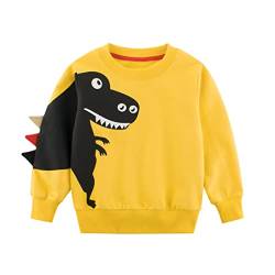 DAWILS Jungen Sweatshirt Dinosaurier Gelb Baumwolle-Fleece Pullover Für Kinder Warme Dünne Sportwear Weihnachts Pullis Shirt Baby Jacke Oberteil 4 Jahre Gr.104 von DAWILS