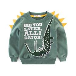 DAWILS Jungen Sweatshirt Krokodil Grün Baumwolle-Fleece Pullover Für Kinder Warme Dünne Sportwear Weihnachts Pullis Shirt Baby Jacke Oberteil 5 Jahre Gr.110 von DAWILS