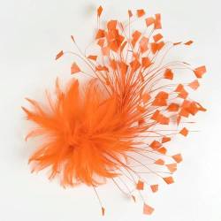 Naturalfedern Brosche Blume Orange Pflumas für DIY Craft Women Carnival Decor Hochzeitsfeier Kopfschmuck Blumenzubehör von DBCFL