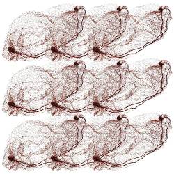 DEARMAMY 50 Stück Haarnetze Unsichtbares Elastisches Randgeflecht Unsichtbare Nylon-Haarnetze Perückennetze Für Lebensmittelservice Ballett-Dutt Schlafen Frauen Und Perücke (Kaffee) von DEARMAMY